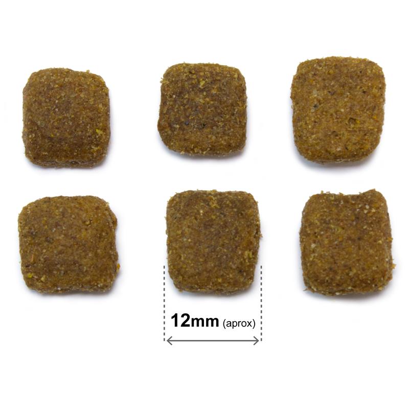 original_adult_lamb_and_rice_20_kg_1-2.jpg bf2e747e62c6b4bd5953892fbffd198d