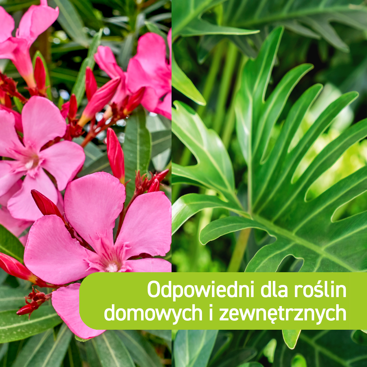 e028a1db9a66a31f2daf594ef72566ea