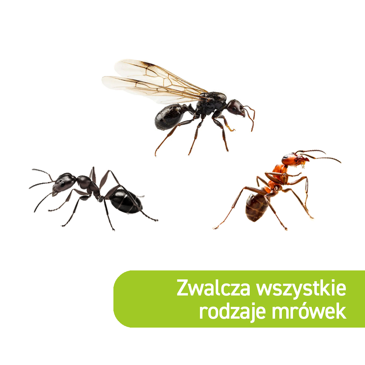 c8f4c7b0647c19d837cb16de639634cb