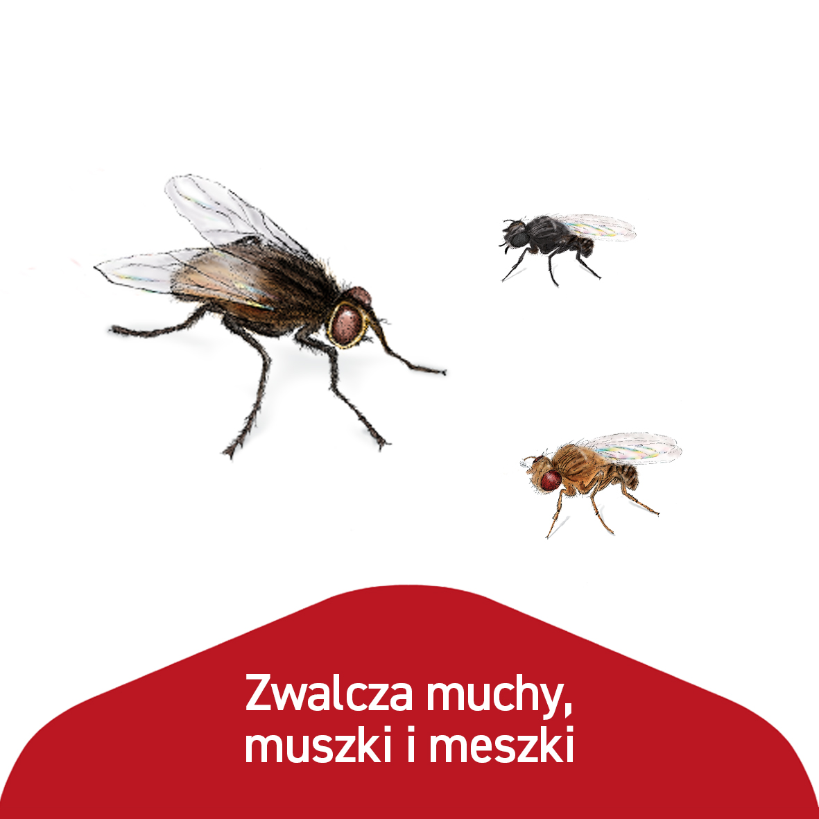 a8fc1b274b48a13d7ff1a400138af7fa